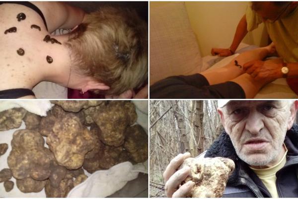 MILE IZ ĆIĆEVCA LEČI SVE BOLJKE PIJAVICAMA: Zovu ga EKSTREMNI ČOVEK, a TROMBOZA I LIFTING LICA su njegovo POLJE