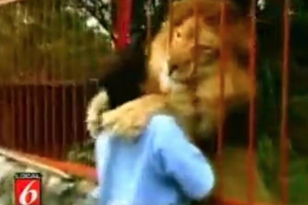 NJEGOVA REAKCIJA JE ZAPREPASTILA SVE: Prišla je kavezu lava koga je othranila, a onda je usledio šok! (VIDEO)