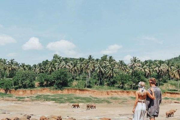 STRANAC OBJAVIO POGREŠNU SLIKU, PA GA DOHVATILI BALKANCI: Ova rasprava je hit na Tviteru!