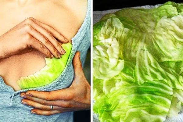 Sinoć je stavila nekoliko listova kupusa na OVE delove tela, a naredno jutro niko nije mogao da skine POGLED SA NJE