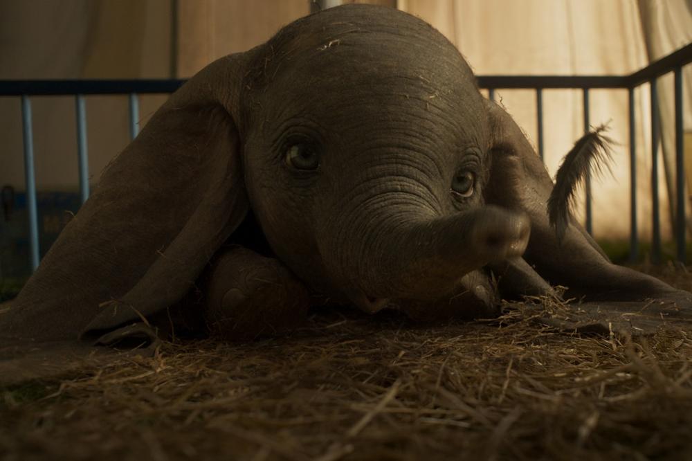DAMBO u režiji Tima Bartona stiže u bioskope sledeće godine