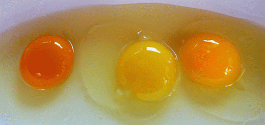 ŽUMANCA OVE BOJE SU NAJZDRAVIJA ZA VAS: Da li možete da uočite koje od ovih je domaće? (FOTO)