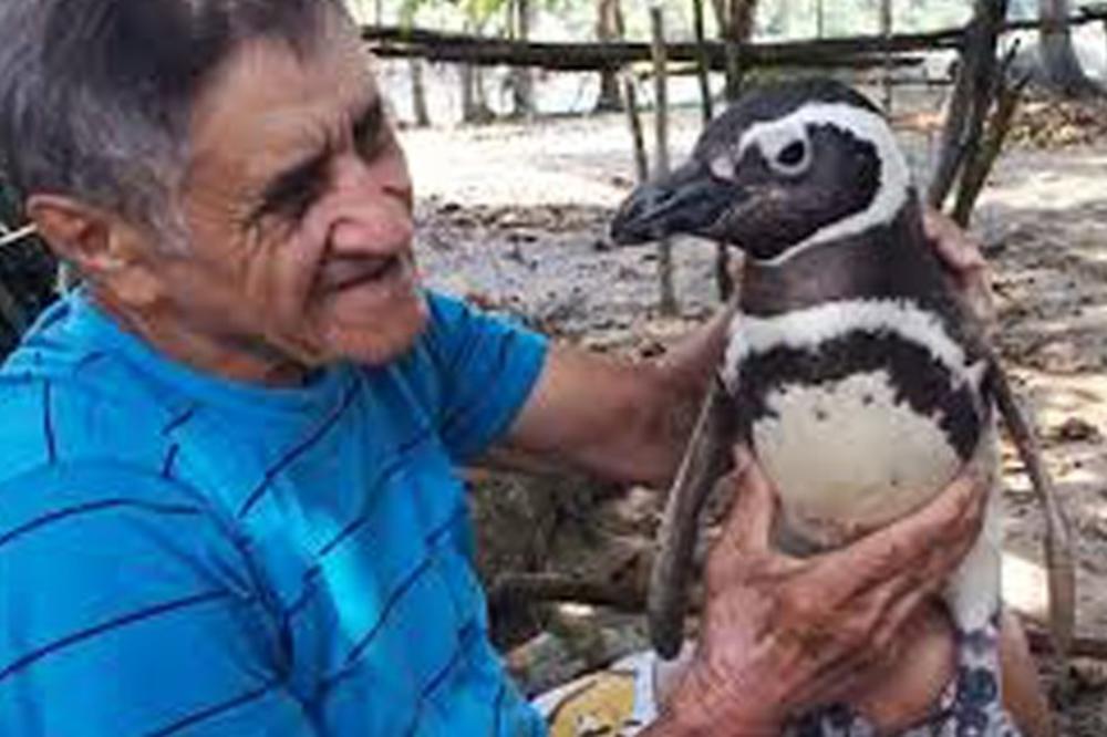 DIRLJIVA PRIČA O PRIJATELJSTVU: Čovek je spasio PINGVINA, a životinja mu je uzvratila neverovatnim potezom!