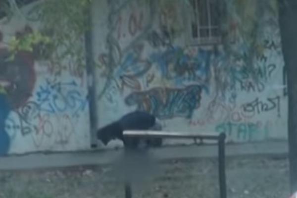 GAGI POTRESEN, JER JE OPTUŽEN ZA ZLOSTAVLJANJE PSA: Osećam potrebu da pojasnim tu ŠOKANTNU NOVOST! (FOTO)