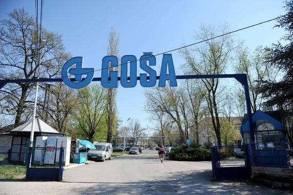 GOŠA SE PONOVO PRODAJE: Njena procenjena vrednost je 605 miliona dinara