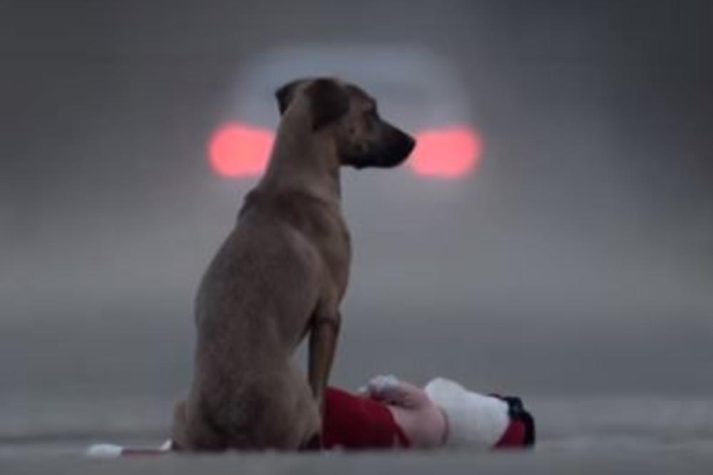 OVAJ SNIMAK IMA 11 MILIONA PREGLEDA IZ DOBROG RAZLOGA: Pas nije igračka! (VIDEO)