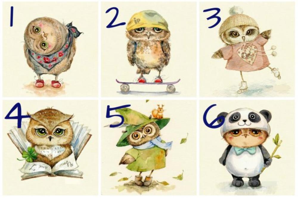 KOJA SOVA VAM JE NAJLEPŠA?  Ona će vam otkriti da li ste NARCOSOCIDNI ili radoznali (FOTO)