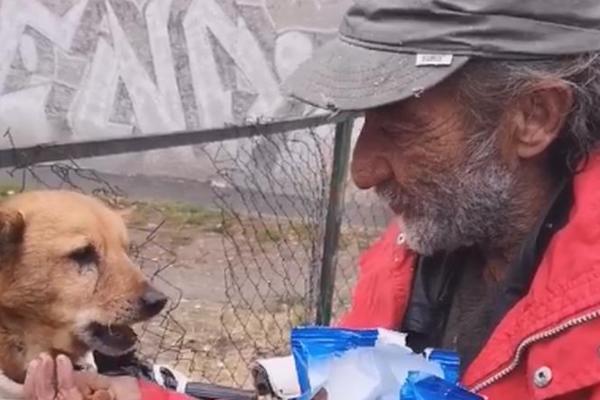 PANČEVAC ODUŠEVIO SRBIJU: Čoveku pored kontejnera ostavio je novac, a on je svojoj BEBANI dao sve do poslednje MRVE