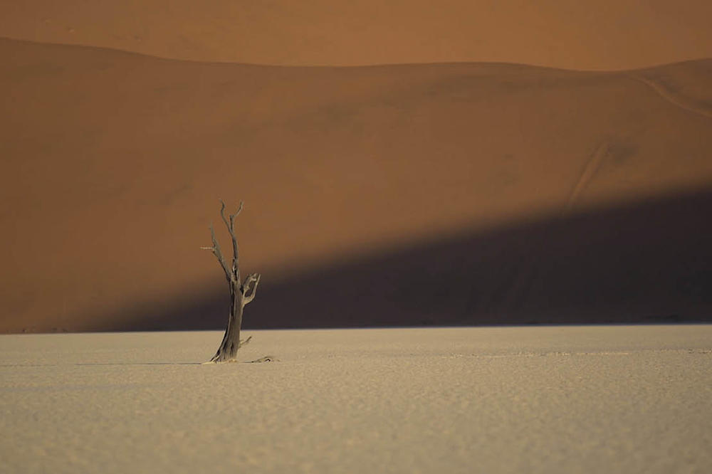 Bioskopska premijera filma SLATKO OD NIŠTA Borisa Mitića