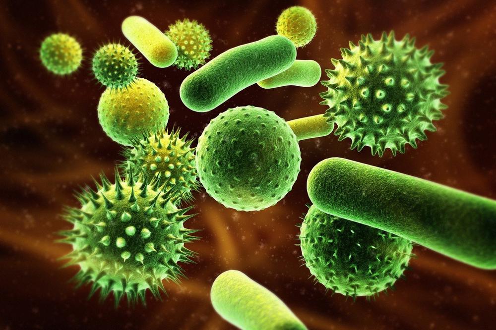 NA OVOM MESTU U KUĆI IMATE NAJVIŠE BAKTERIJA: Ni ne sanjate koji je predmet kao SUNĐER ZA NJIH