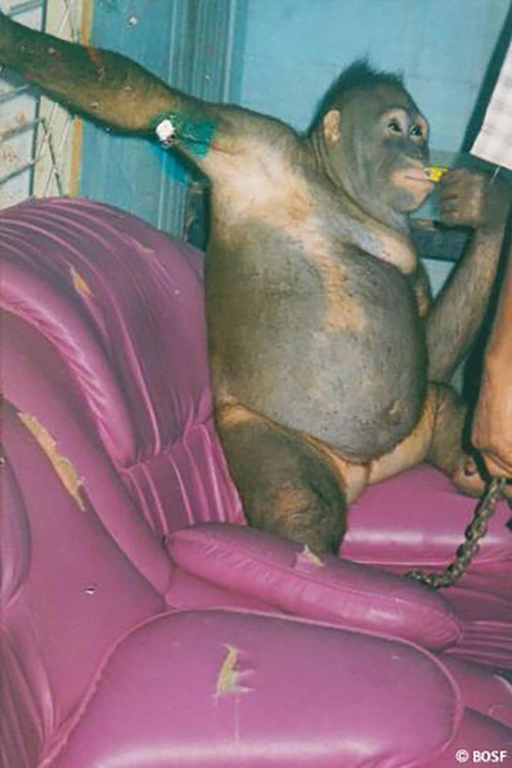 Poli je bila žrtva užasnog nasilja 