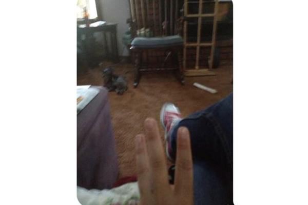 POŠALJI MI FOTKU SA TRI PODIGNUTA PRSTA, DA VIDIM DA JE KUĆA TVOJE MAME, IMAŠ 5 MINUTA: Horor poruke MUŽA NASILNIKA