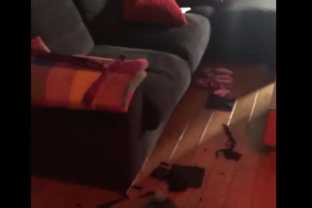 KIJI KOCKAR DEMOLIRAN STAN: Dramatično ISKUSTVO Kockareve kada je ušla i videla HAOS