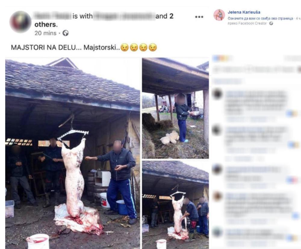 Oglasila se Karleuša 