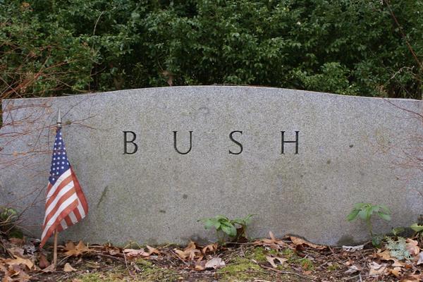 MRAČNA TAJNA PORODICE BUŠ: Veliki prijatelji Albanaca su POMOGLI DA HITLER DOĐE NA VLAST i obogatili se od AUŠVICA!