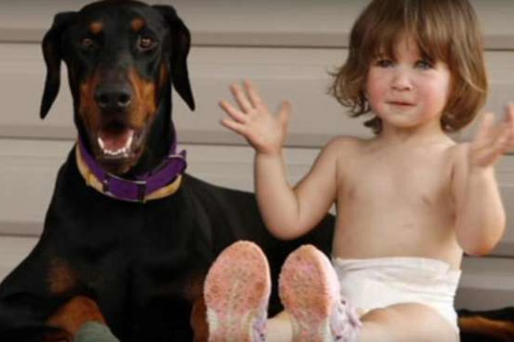 VAŠ MALIŠAN ŽELI PSA? Ako ste razmišljali o udomljavanju, ove 3 rase su IDEALNE za porodicu