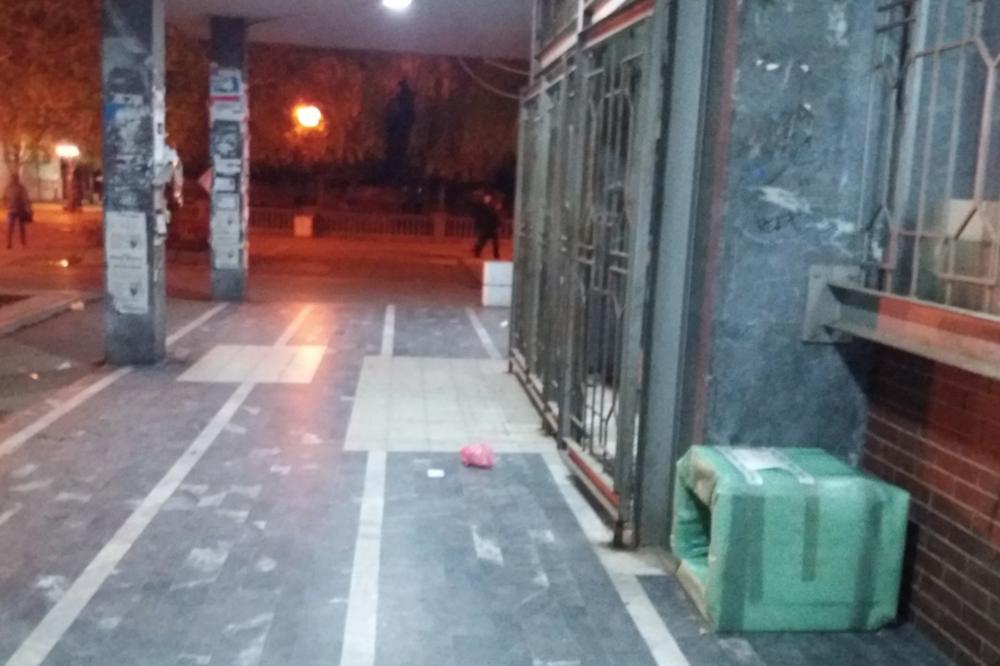 UZELI STVAR U SVOJE RUKE I ODUŠEVILI SRBIJU: Jagodinci rešavaju problem PASA LUTALICA, a evo i kako (FOTO)