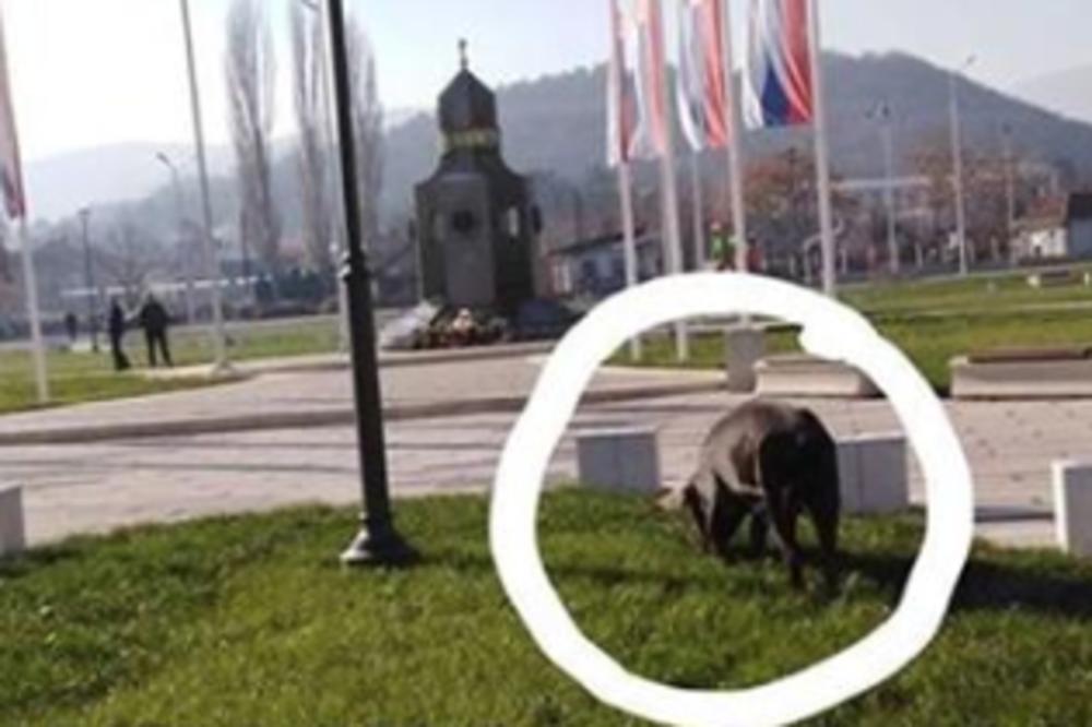 SVINJA PROŠETALA SPOMEN PARKOM POSVEĆEN GVOZDENOM PUKU! Da, dobro ste videli i da, ovo se dešava u Srbiji (FOTO)