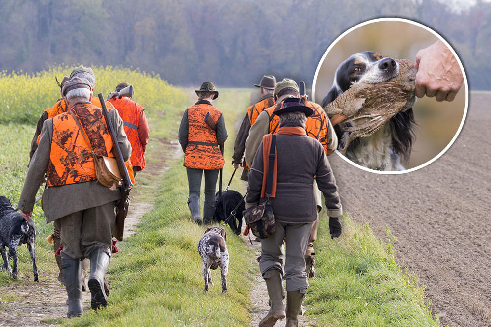 LOVCE TREBA SKINUTI GOLE I PUSTITI U ŠUMU: Šta redakcija ESPRESA misli o ljudima koji UBIJAJU ŽIVOTINJE IZ ZABAVE