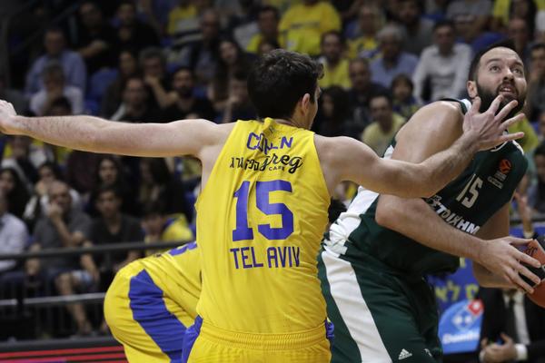 SRAMOTA! Izraelski košarkaši došli u hotel, dočekala ih nacistička parola!