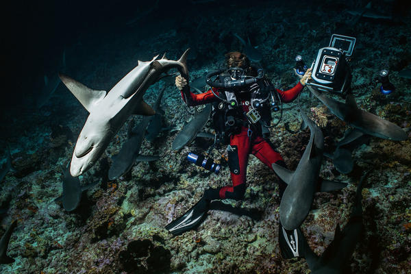 NEKA VODA UVEK BUDE ČISTA: 22. Međunarodni festival podvodnog filma u Beogradu