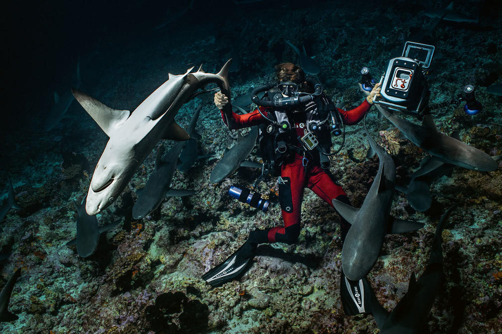 NEKA VODA UVEK BUDE ČISTA: 22. Međunarodni festival podvodnog filma u Beogradu