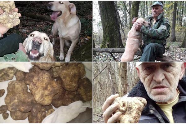 NEMA ŽBUNA U SRBIJI KOJI MILE NE POZNAJE: On je maher za TARTUFE, a pomažu mu Kika i Tara, STRUČNJACI ZA MINE