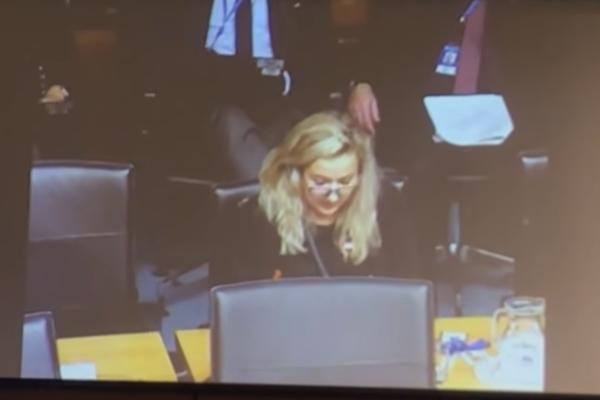 ČIM SU POMENULE KOSOVO, ISKLJUČILI SU IM MIKROFON: Srpkinje BRUTALNO CENZURISANE u Ujedinjenim nacijama! (VIDEO)
