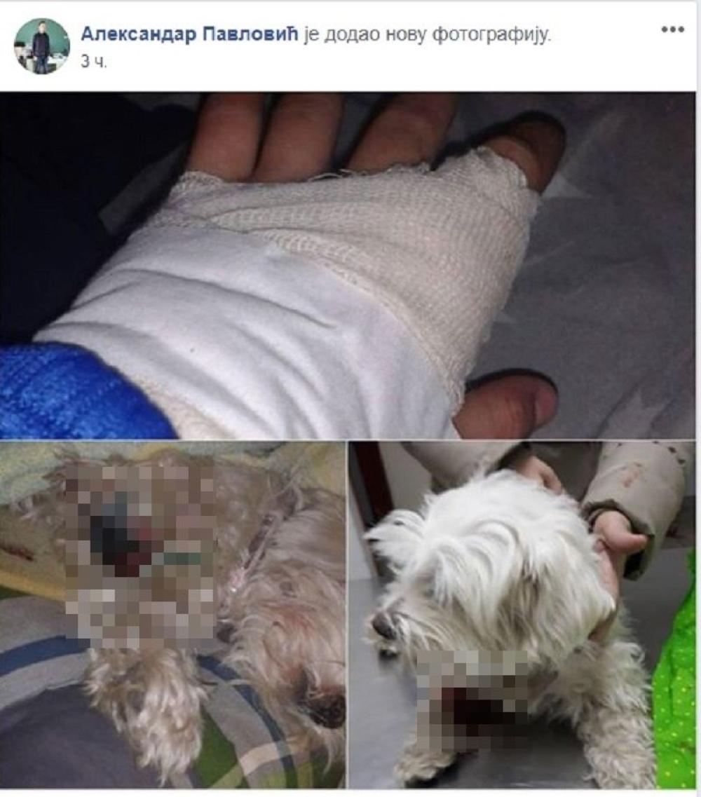 Povrede nakon napada 