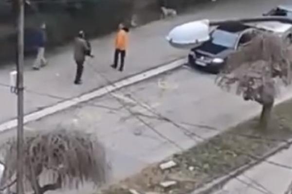 KRVOLOČNI PAS NAPAO I POVREDIO DETE: Građani Smederevske Palanke strahuju zbog STAFORDA (FOTO) (VIDEO)