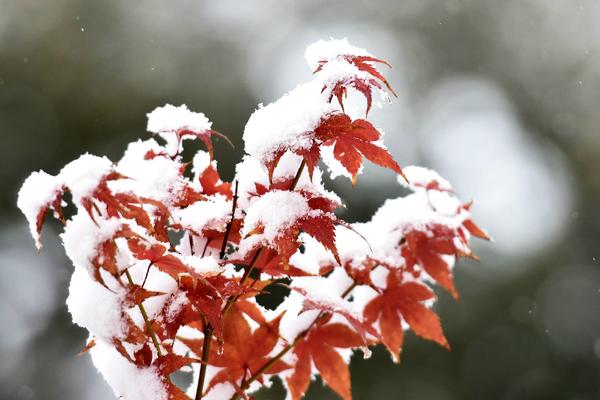ZABELELA SE JAHORINA: EVO KADA TAČNO SNEG DOLAZI NA SRPSKA VRATA! (VIDEO)