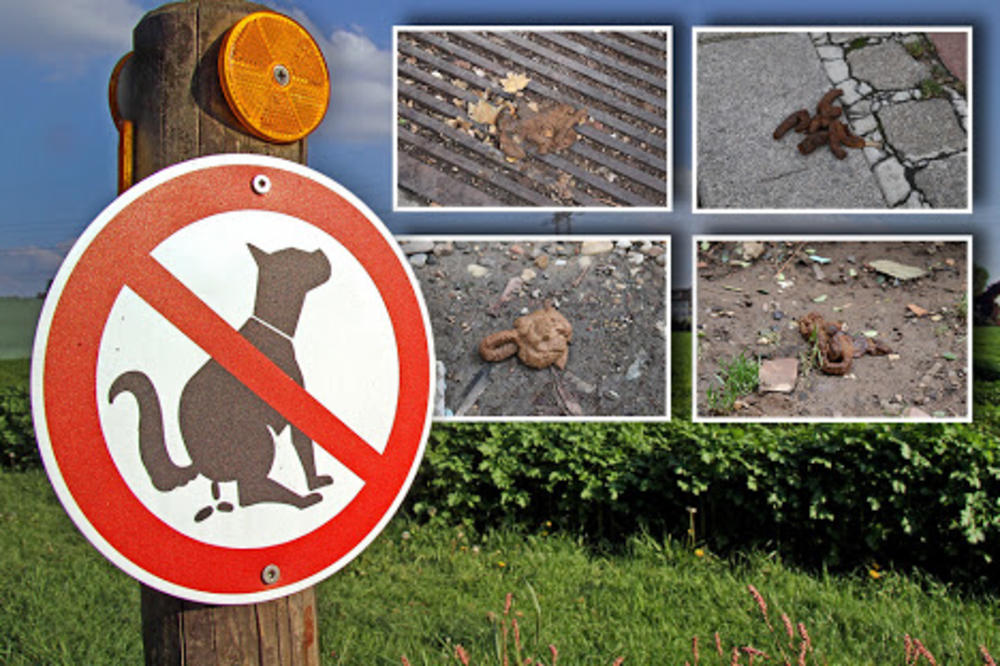 CENTAR BG PREPLAVLJEN PSEĆIM IZMETOM! Kazne su 10.000 dinara, a mi smo videli DA ZAKON NIKO NE SPROVODI (FOTO)