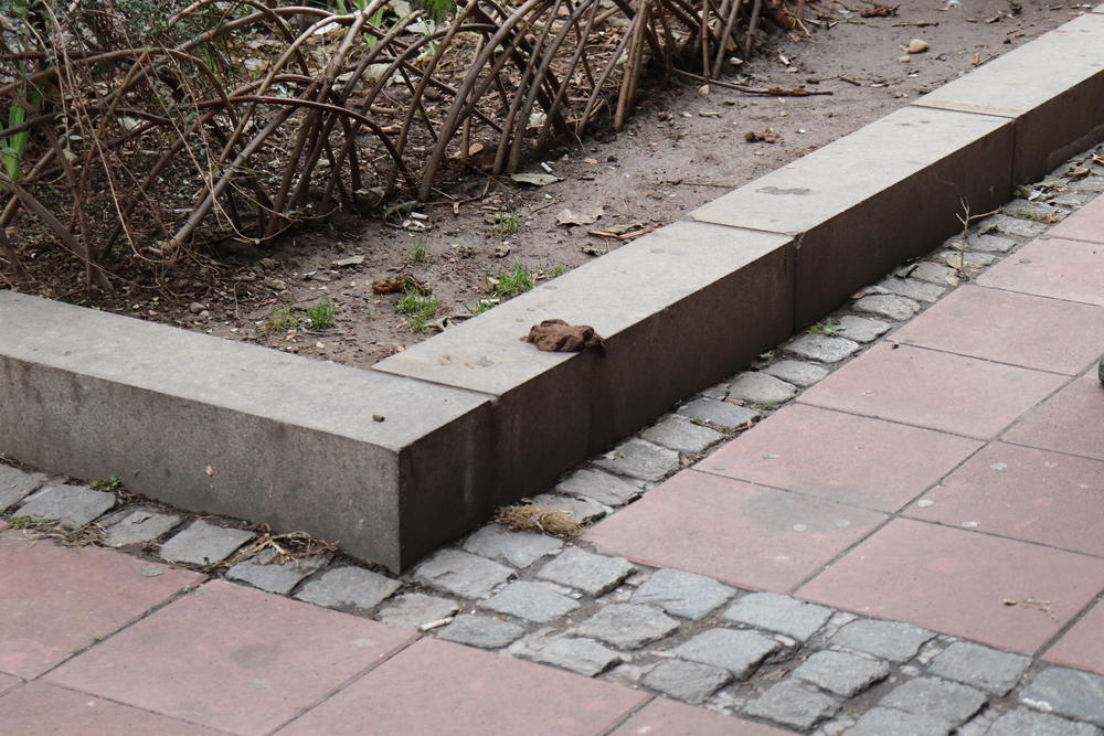 Pseći izmet na ulicama Beograda    