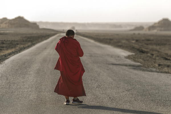 BUDISTIČKI MONAH STRADAO ZA VREME MEDITACIJE: Dok je spokojno sedeo ispod drveta, prikralo mu se nešto ZASTRAŠUJUĆE