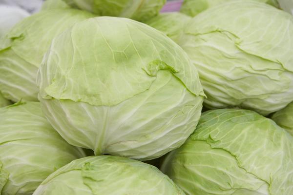 ČISTI CREVA, SMANJUJE TEŽINU, REGULIŠE KISELINU: Ako ovo budete jeli 3 dana vaše telo će se PREPORODITI!