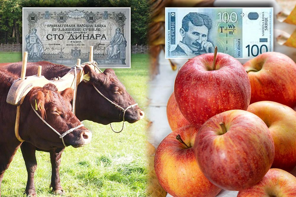 ZA 100 DINARA NEKAD SU MOGLA DA SE KUPE 2 VOLA, A DANAS KILO JABUKA! Ovo je priča o valuti s NAJBURNIJOM ISTORIJOM