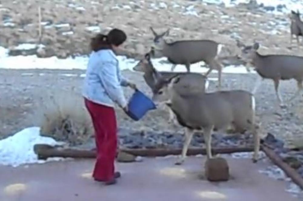 ŽENA MU JE IZAŠLA IZ KUĆE: Ono što se zatim desilo morate sami da vidite! (VIDEO)