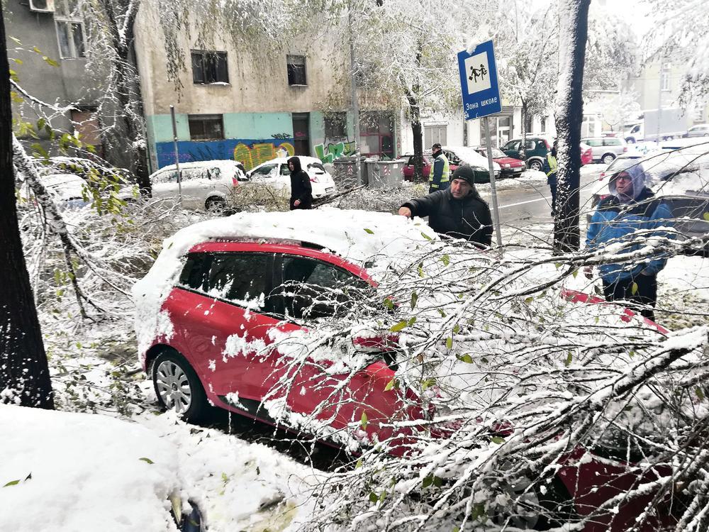 Grana je pala pod težinom mokrog snega i oštetila automobil na parkingu   