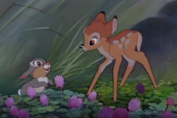 UBIJAO JELENE I SRNE, PA DOBIO DO SADA NEVIĐENU KAZNU: Svakog dana će morati na SILU DA RADI NEŠTO JAKO TEŠKO