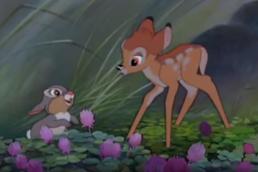 UBIJAO JELENE I SRNE, PA DOBIO DO SADA NEVIĐENU KAZNU: Svakog dana će morati na SILU DA RADI NEŠTO JAKO TEŠKO