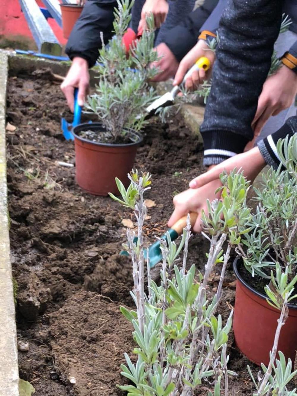 Održana radionica ZELENI IZAZOV 