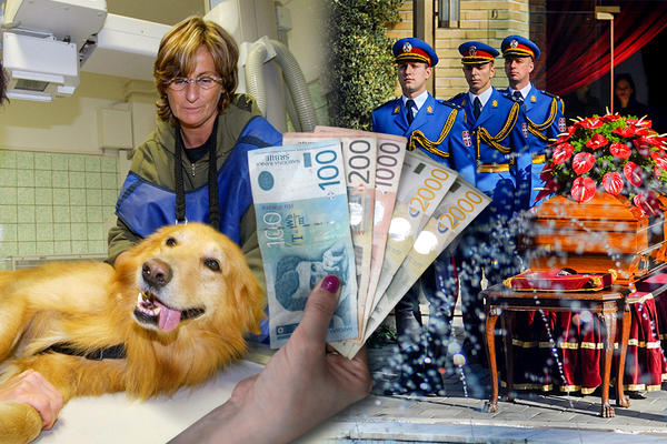 RASKIDAM, IZJAVLJUJEM SAUČEŠĆA, USPAVLJUJEM LJLUBIMCE! Oglas ovog ličnog asistenta je ZA NEVEROVATI!