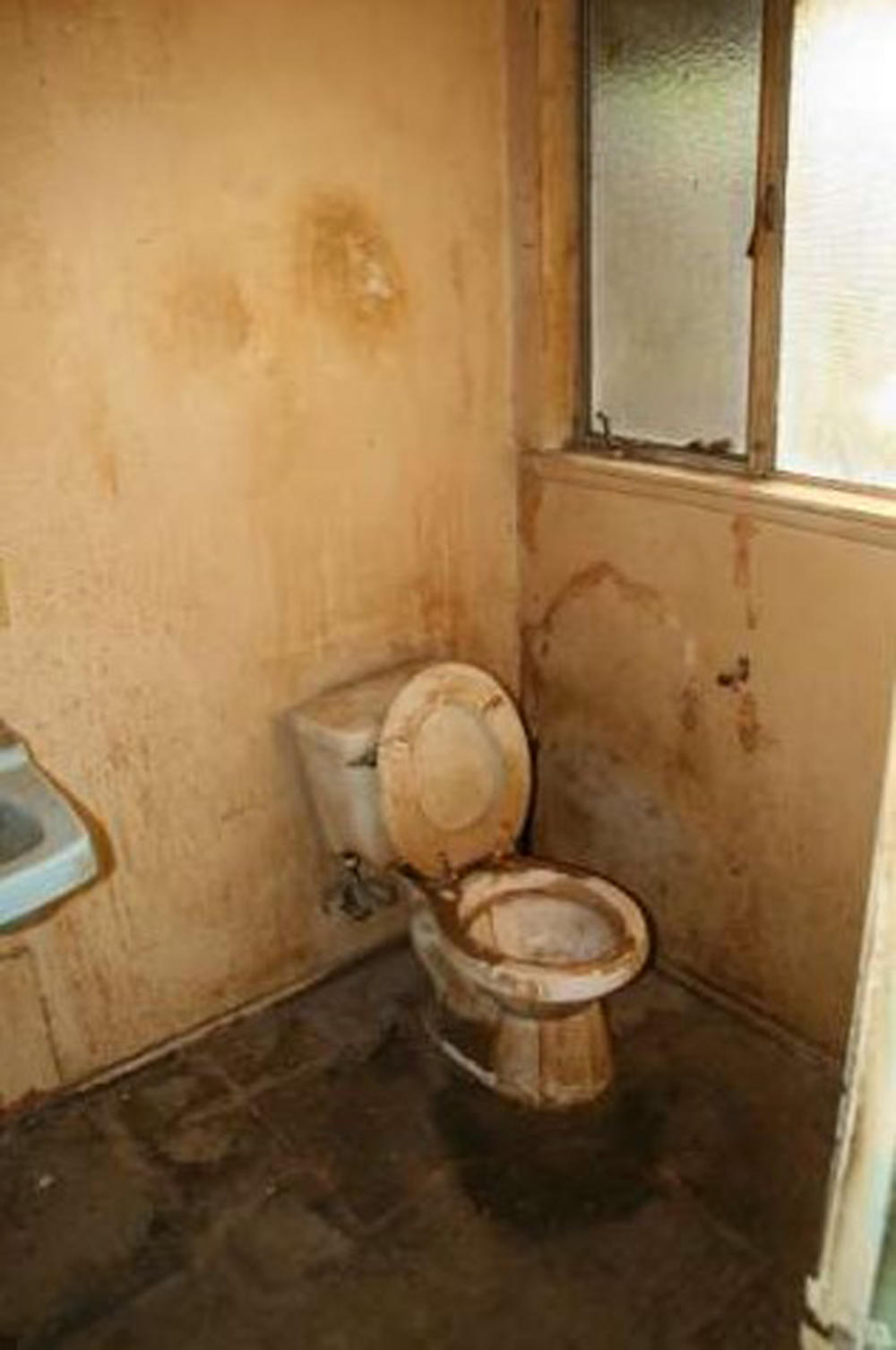 Njena procenjena cena iznosi 475.000 dolara