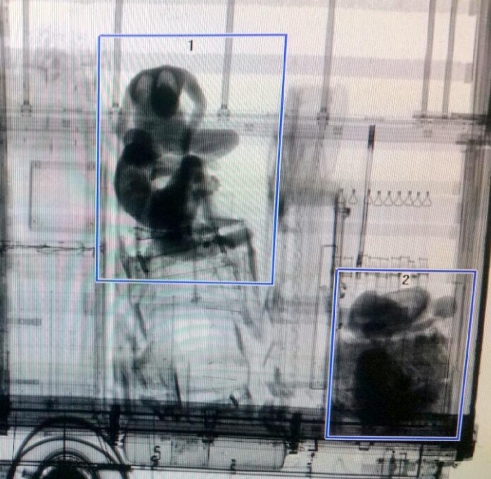 Migranti  uočeni na skeneru  