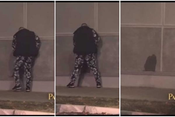 NEVIĐENA BRUKA I SRAMOTA! Jala i Buba došli u Beograd pa URINIRALI po zgradama!