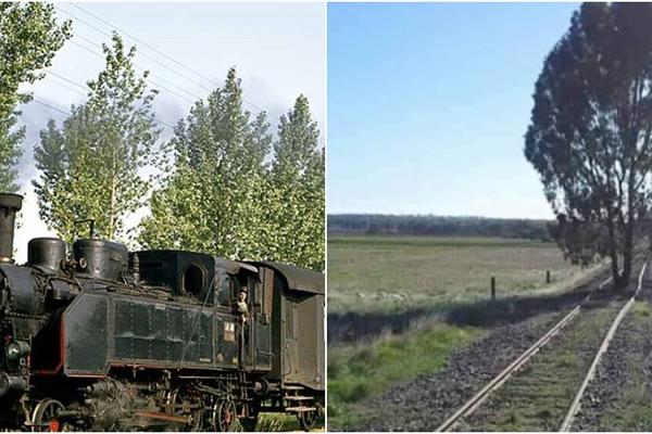 VOJVODINA, TAMO GDE JE VREME STALO: Nekad najgušća mreža u Evropi, danas DRVO NASRED PRUGE?! (FOTO)