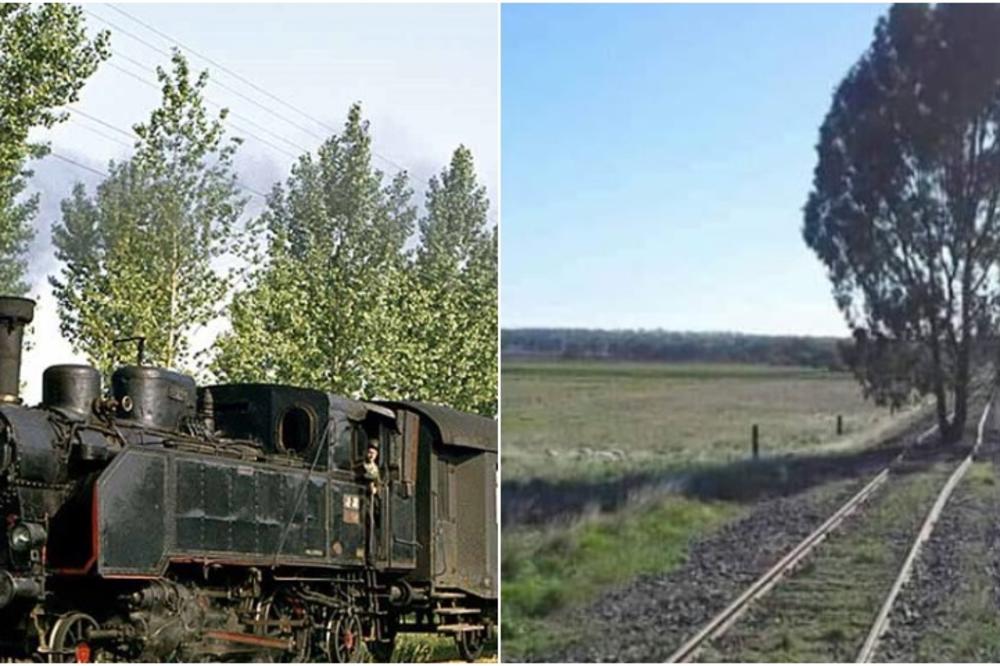 VOJVODINA, TAMO GDE JE VREME STALO: Nekad najgušća mreža u Evropi, danas DRVO NASRED PRUGE?! (FOTO)