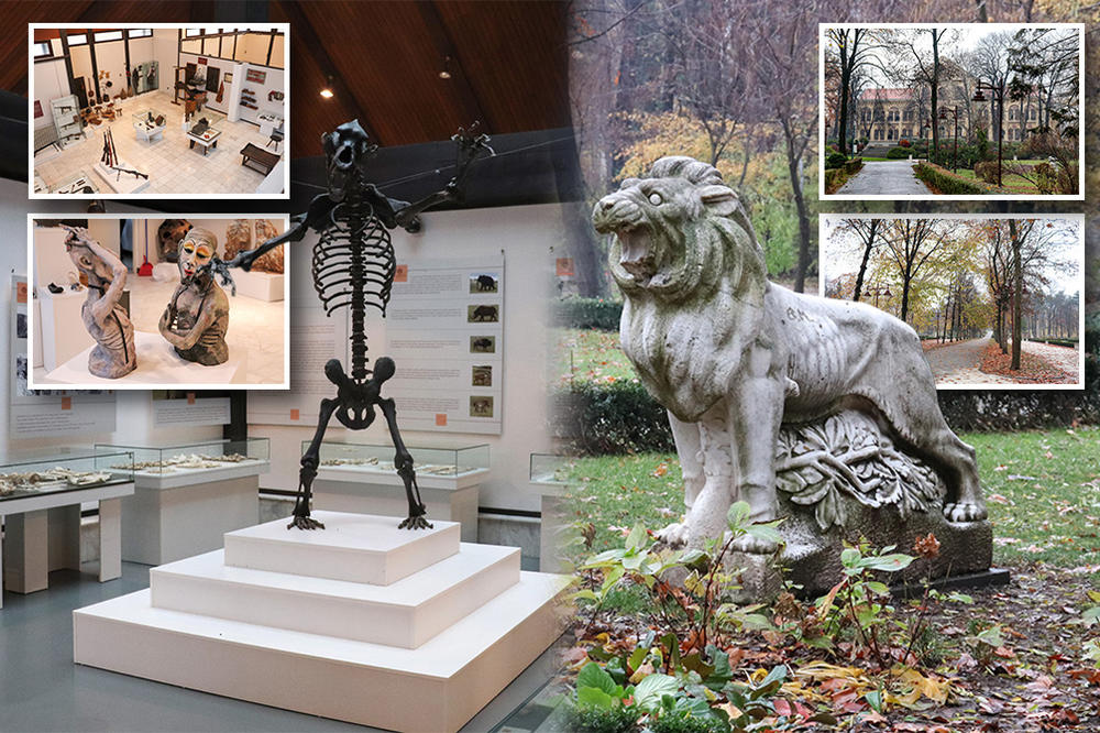 NAJLEPŠI PARK U SRBIJI, SVA BLAGA MUZEJA: Ono što smo videli u Aranđelovcu, ostavilo nas je BEZ DAHA (FOTO) (VIDEO)