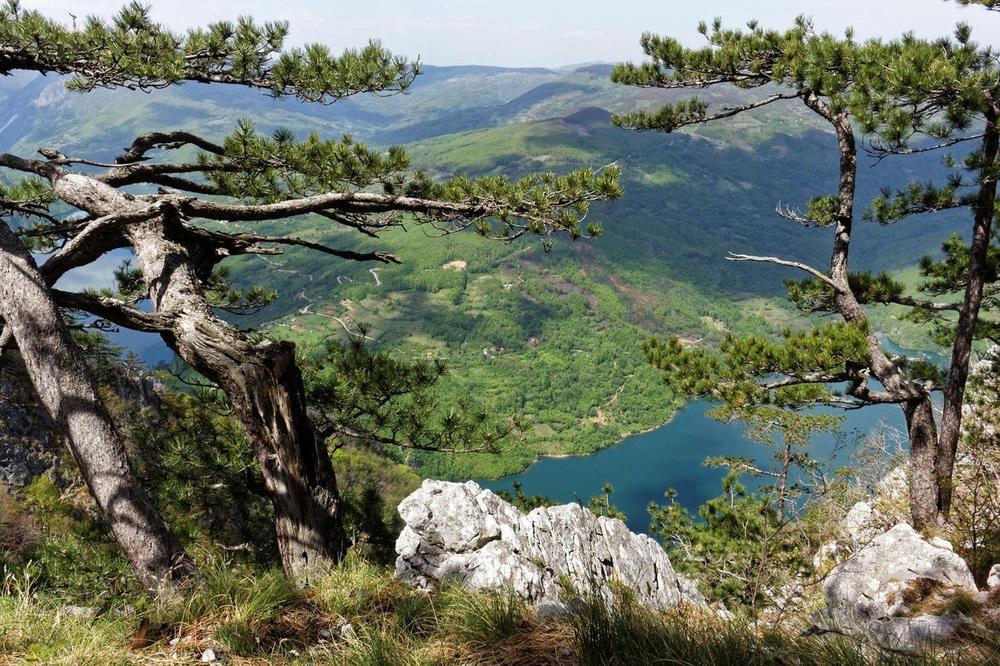 SUNCE SE VRAĆA: U Srbiji sutra pretežno sunčano