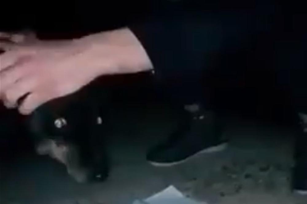 JEZIVI SNIMAK SVIREPOG ZLOČINA KRUŽI INTERNETOM: Nožem preklao psa u Obrenovcu dok sve vreme ponavlja 2 čudne reči!